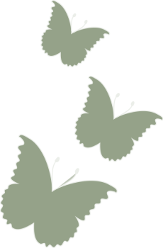 Agrimacelleria-Dadee-Grafica-Farfalle3